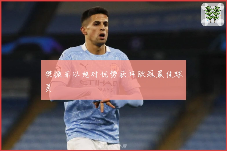 樊振东以绝对优势获评欧冠最佳球员