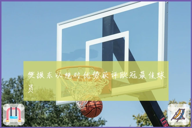 樊振东以绝对优势获评欧冠最佳球员